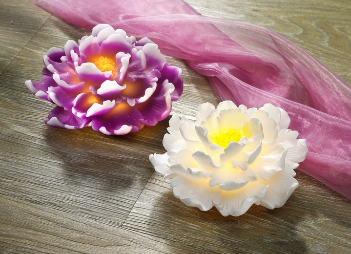 Wohnaccessoires - LED-Chrysantheme aus Kunststoff, in Farbe WEISS Ansicht 1